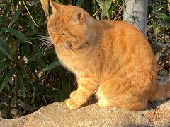 -终南山南五台景区