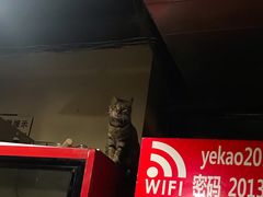 大堂-夜烤·宜宾烧烤(洋河路店)