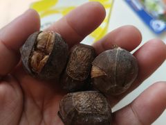 -粒上皇(悦荟广场店)