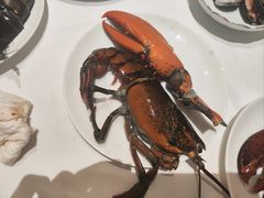 -京彩臻品火锅
