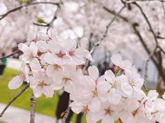 -龙美术馆(西岸馆)