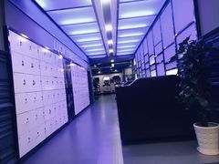 -金吉鸟健身游泳