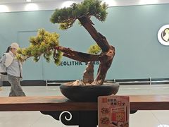 -呷哺呷哺 小火锅 (浦东新欧尚超市店)