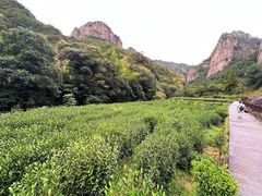 -雁荡山大龙湫景区