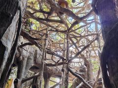 -长鹿旅游休博园
