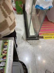 点击看大图 -神奇动物撸宠馆·羊驼·小浣熊·异宠(豫园店)