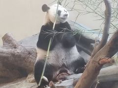 -宁波野生动物园
