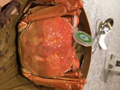 -绍兴中金豪庭大酒店·豪庭阁中餐厅