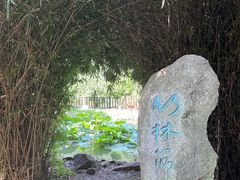-八大山人梅湖景区