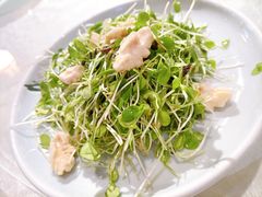 香椿苗核桃仁-庆云楼饭庄(什刹海店)