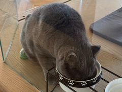 -Me Coffee下午茶艺术空间