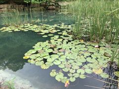 -桃花岭景区