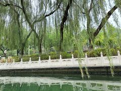 -皇家御河游(紫御湾码头)