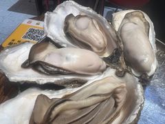 -蚝堡海鲜·威海菜·海肠捞饭·烧烤·亚洲吃蚝公司(幸福门店)