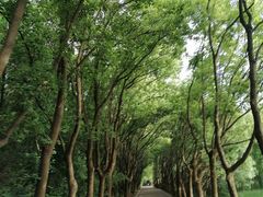 -同里国家湿地公园