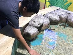 -重庆欢乐海底世界