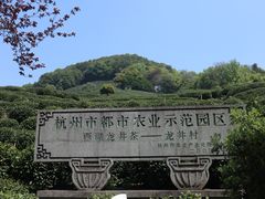 -龙井壹号·茶缘山景宴(龙井村店)