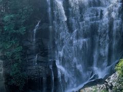 -海南热带雨林国家公园吊罗山景区