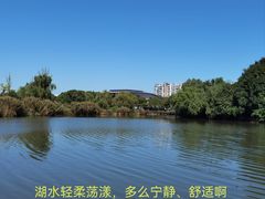 -新江湾城公园