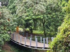 -张坝桂圆林公园