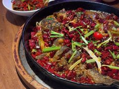 -老板恋上鱼(恒隆广场店)