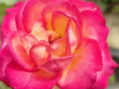 -北京中医药大学第三附属医院