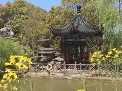 -南汇桃花村