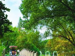 -昆山城市生态森林公园