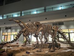 -自贡恐龙博物馆