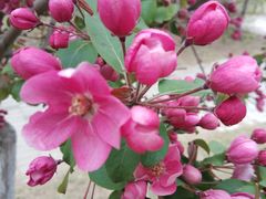 -长白岛森林公园