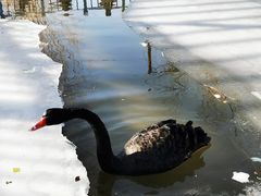 -北京鹿世界主题园