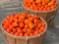 -楠溪江风景名胜区