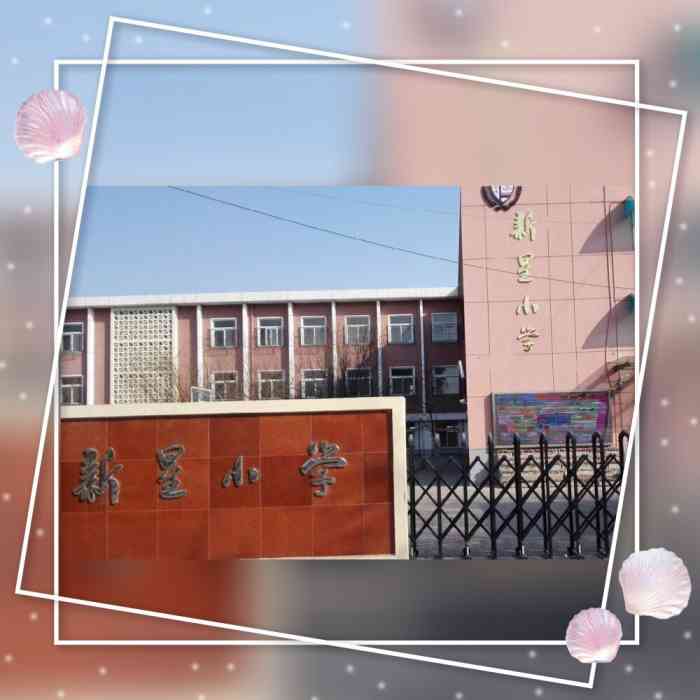 上的新星小学(儒苑小学),是王顶堤地区的唯一一所小学(分为三个校区)