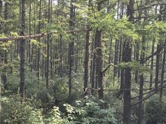 -白草畔自然风景区