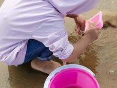 -日照海滨国家森林公园