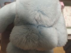 -三花喵·撸猫购宠·宠物生活馆(虹桥南丰城店)