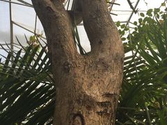 -南通洲际绿博园