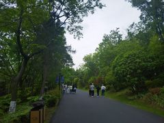 -茅山东方盐湖城景区