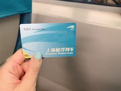 -龙阳路磁悬浮列车总站-停车场