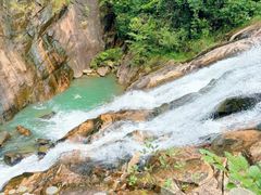 -广州白江湖森林公园