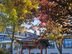 -莲花池公园