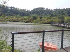 -飞凤山奥体公园