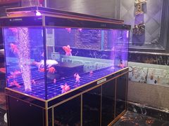 水产区-便宜坊烤鸭店(航天桥店)