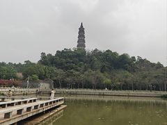-顺峰山公园