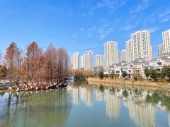 -白塘生态植物园
