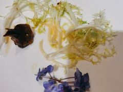 -荣粤酒家·融合粤菜·海鲜火锅