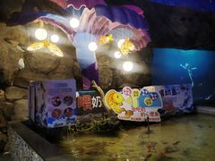 -烟台海昌鲸鲨海洋公园