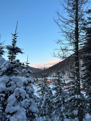 -大秃顶子山
