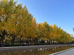 -玲珑塔公园