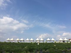 -紫颐香薰山谷景区